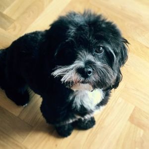 Meet your Posher, Armand